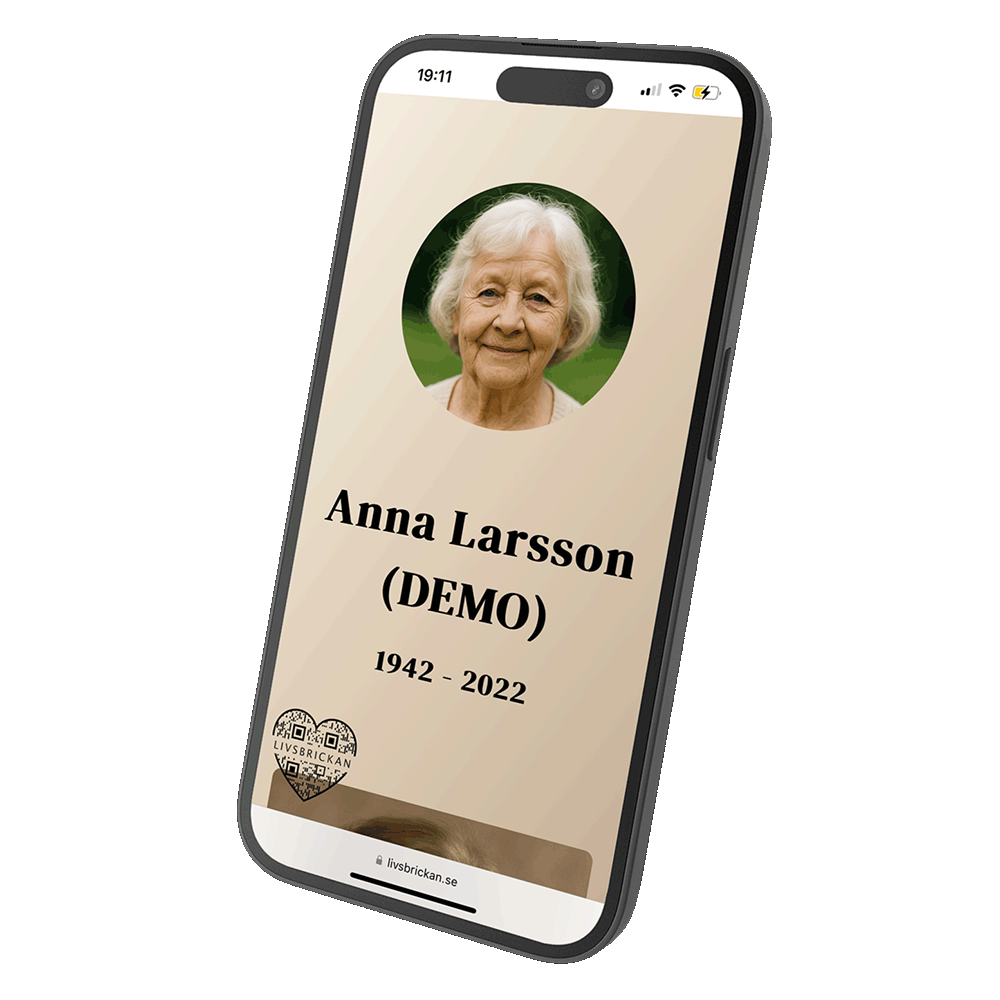 Bild på Livsbrickan